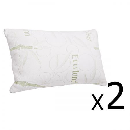 BAM-SHED-PILLOWX2